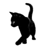 Profile photo of Lia